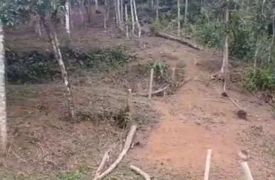 Terreno à venda, 400 m² por r$ 220.000 - praia do itamambuca - ubatuba/sp