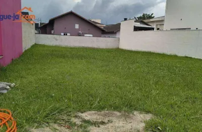 Terreno em condomínio fechado à venda na Avenida das Palmeiras, Condomínio Terras do Vale, Caçapava