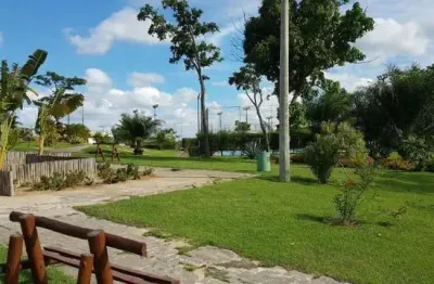 Terreno  comercial na avenida  universitária com 32.000m