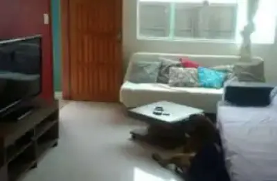 Casa com 2 quartos à venda na rua soldado genaro pedro lima, anil, rio de janeiro, 100 m2 por r$ 580.000