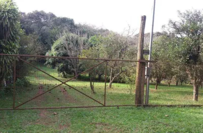 Chácara à venda, 3162 m² por r$ 350.000,00 - loteamento rural palermo - gravataí/rs