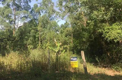 Terreno à venda, 4200 m² por r$ 250.000,00 - recanto da corcunda - gravataí/rs