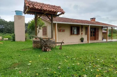 Chácara com 3 dormitórios à venda, 5000 m² por r$ 585.000,00 - vila imperial - gravataí/rs