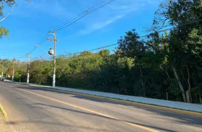 Área à venda, 9000 m² por r$ 1.385.000,00 - santo antônio - gravataí/rs