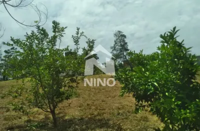 Terreno à venda, 2.975m² por r$373.500,00 - parque itacolomi - gravataí/rs.