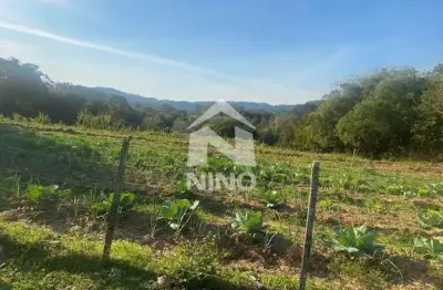 Chácara a venda, 20.000 m² por r$ 600.000,00 - costa ipiranga - gravatai/rs