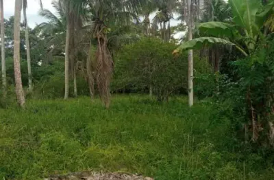 Oportunidade única! venda de 10 tarefas de terra localizada  em conceição da feira