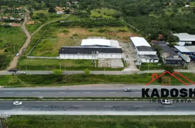 Galpão para locação na br 116 sul - prox. a policia federal