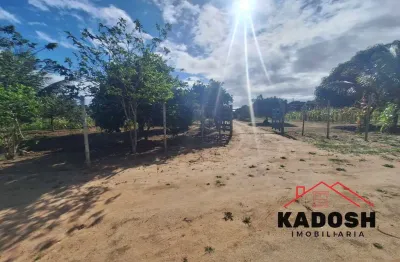 Oportunidade imperdível: sitio para venda localizado no retiro em coração de maria