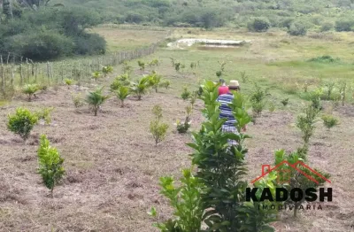 Excelente oportunidade de investimento! terreno para venda localizado em são gonçalo