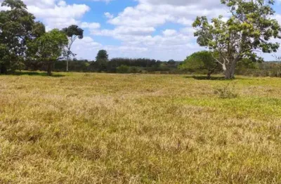 Oportunidade única: vende-se 20 tarefas de terra em conceição do jacuípe (birimbal)