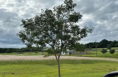 Terreno à venda na Rod. Pr 317, Zona Rural, Floresta