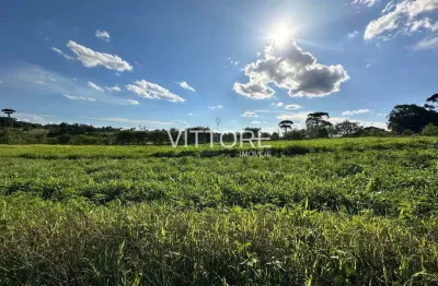 Chácara / sítio à venda na Rua Francisco Ferreira da Rocha Loures, s/n, Miringuava, São José dos Pinhais