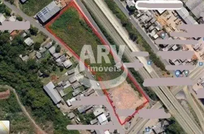 Terreno comercial para alugar no Neópolis, Gravataí 