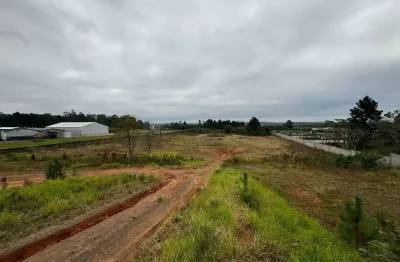 Terreno comercial para alugar no Sítio Gaúcho, Gravataí 