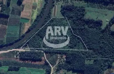 Terreno comercial - 15 ha - b. rio branco - são sebastião do caí - rs