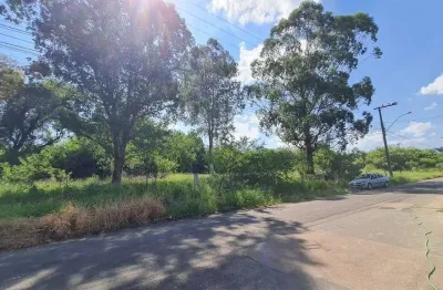 Terreno comercial à venda na Vila City, Cachoeirinha 