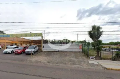 Terreno comercial à venda no Bom Princípio, Gravataí 