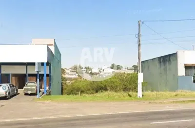 Terreno comercial à venda no Vera Cruz, Gravataí 