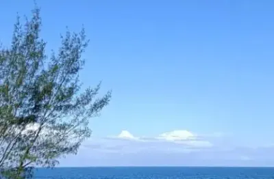 Casa com 4 quartos à venda na Rua Aroeira do Campo, 987654, Campeche, Florianópolis