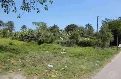 Terreno à venda, 5000 m² por r$ 2.000.000,00 - jardim ana rosa (palmeiras) - suzano/sp