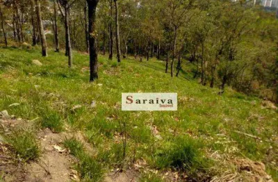 Terreno à venda, 179000 m² por r$ 63.000.000,00 - ferrazópolis - são bernardo do campo/sp
