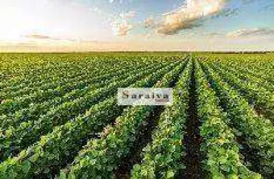 Fazenda à venda no Centro, Paranapanema 