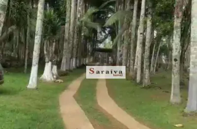 Chácara com 10 dormitórios à venda, 74000 m² por r$ 1.500.000,00 - riacho grande - são bernardo do campo/sp