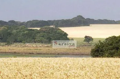 Fazenda à venda, 21620280 m² por r$ 450.000.000 - centro - paranapanema/sp