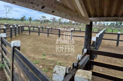 Fazenda com 6 dormitórios à venda, 58080000 m² por R$ 62.000.000,00 - Zona Rural - Campos Altos/MG