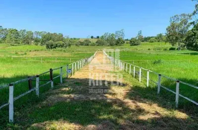 Fazenda com 5 dormitórios à venda, 968000 m² por R$ 4.300.000,00 - Reginópolis - Silva Jardim/RJ