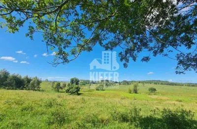 Fazenda com 1 sala à venda na Estrada São Vicente, 100, Fazendinha, Araruama