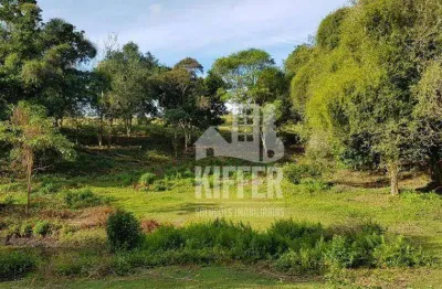 Área à venda, 22001 m² por r$ 450.000,00 - loteamento agro brasil - cachoeiras de macacu/rj