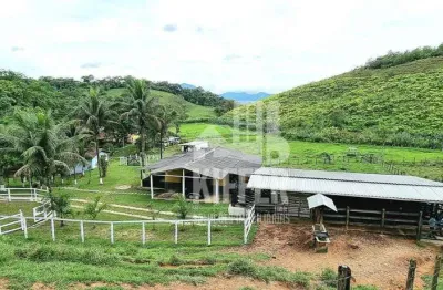 Sítio à venda com 15 hectares – estrutura completa para produção agrícola, criação de animais e lazer – porteira fechada