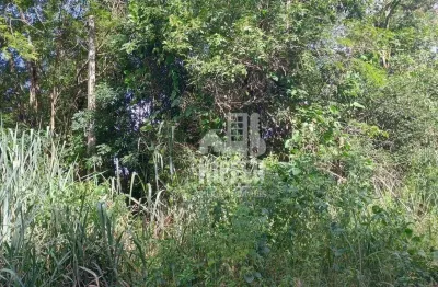 Terreno à venda, 4125 m² por r$ 210.000,01 - itaocaia valley (itaipuaçu) - maricá/rj