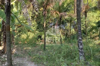 Terreno à venda, 1000 m² por r$ 600.000,00 - ubatiba - maricá/rj