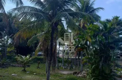 Terreno à venda, 3960 m² por r$ 1.600.000,00 - são josé do imbassaí - maricá/rj