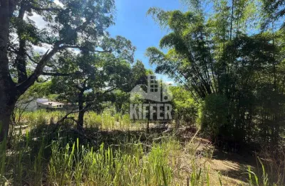 Terreno à venda, 3125 m² por r$ 575.000,00 - bambuí - maricá/rj