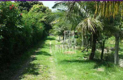 Chácara com 5 quartos à venda, 20000 m² por r$ 845000 - manoel ribeiro (ponta negra) - maricá/rj