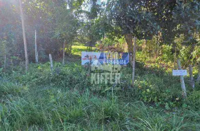 Terreno à venda, 2000 m² por r$ 424.000,00 - bananal (ponta negra) - maricá/rj