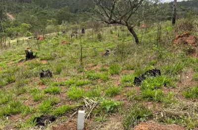 Oportunidade Imperdível: Terrenos Amplos em Residencial Fechado