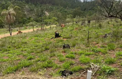 Terreno em condomínio fechado à venda na Rua Pio XII, 4875, Centro, Mairiporã