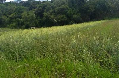 Terreno à venda na Estrada Municipal da Cachoeira, 1234, Cachoeira, Cotia