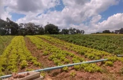 Terreno à venda na Estrada Municipal da Cachoeira, 9, Cachoeira, Cotia
