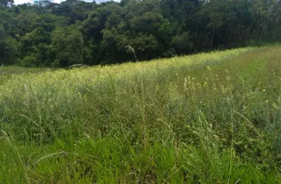 Chácara / sítio com 3 quartos à venda na Estrada Municipal da Cachoeira, 654, Cachoeira, Cotia