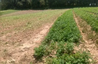 Terreno à venda na Estrada Municipal da Cachoeira, 472, Cachoeira, Cotia