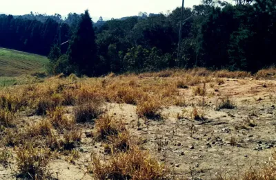 Terreno em condomínio fechado – segurança, natureza e qualidade de vida