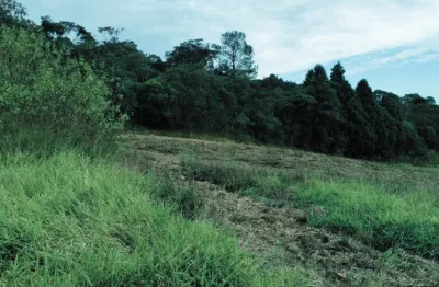•	cotia bairro topázio: terrenos de 500m² com saldo parcelado até 60x sem burocracia