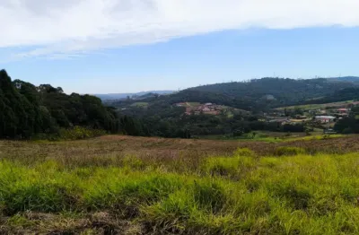 He terrenos de qualidade, ideais para casas de campo! confira as ofertas!