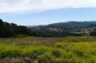 He  invista num terreno belíssimo para a sua futura casa de campo!